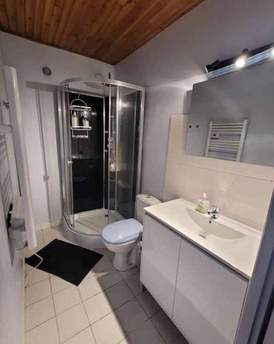 Appartement Calme Vizille Ngoại thất bức ảnh